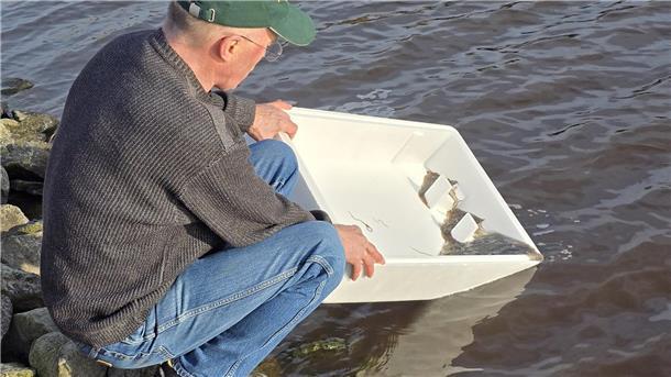 Ein Mann hält eine Kiste leicht schief. Über ein Ecke der Kiste schwimmen kleine Fische in die Freiheit des Sielgewässers