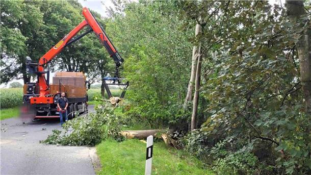  Feuerwehr befreit Straße in Spaden von Baum 