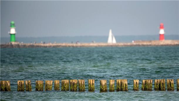Studie verweist auf Thallium-Belastung der Ostsee Die Ostsee ist laut einer Studie relativ stark mit dem giftigen Schwermetall Thallium belastet.
