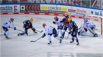 Die Pinguins führen in der Viertelfinalserie gegen den ERC Ingolstadt mit 2:0 und wollen mit den Fans im Rücken weiter nachlegen.