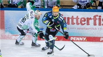 Die Pinguins und die Bietigheim Steelers verband über Jahre eine Rivalität. In der DEL2 kämpften sie immer wieder gegeneinander um den Titel.