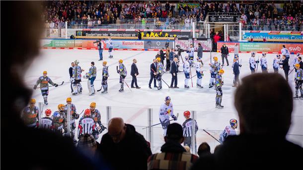 Großer Kampf, knappe Niederlage: Pinguins sind aus den Playoffs ausgeschieden Die Pinguins verabschieden sich von den Münchnern nach verlorenen Playoffspiel.
