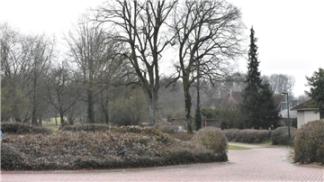 Büsche im Vordergrund, zwischen denen ein gepflasterter Weg hindurch führt und hohe Bäume im Hintergrund.