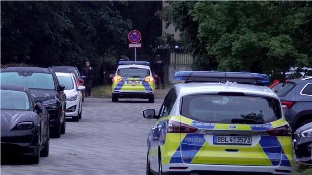 Löwen-Alarm in Brandenburg - Großfahndung nach Raubkatze Die Polizei hat weit mehr als hundert Kräfte für die Suche nach dem Wildtier im Einsatz.