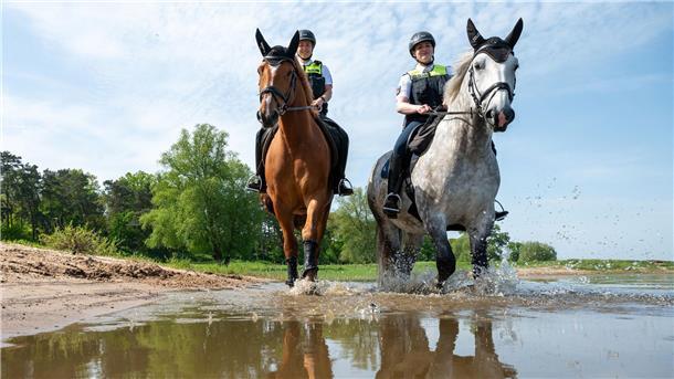 Polizeireiter an der Elbe schützen Natur und Tierwelt Die Polizeireiterinnen Clara (l) und Denise reiten bei einem Pressetermin mit ihren Dienstpferden am Ufer der Elbe entlang.