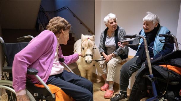 Die Ponys ziehen im Pflegeheim von Zimmer zu Zimmer.