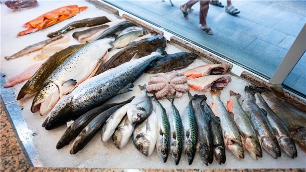 Fisch ist deutlich teurer geworden Die Preise für Fisch sind im letzten Jahr deutlich gestiegen.