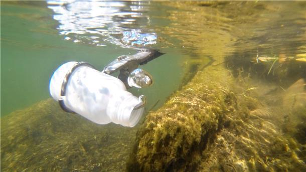 Startschuss in die Badesaison - gute Qualität der Gewässer Die Qualität der Badegewässer in Niedersachsen ist zum offiziellen Start in die Saison in der Mehrheit nicht zu beanstanden. (Archivbild)