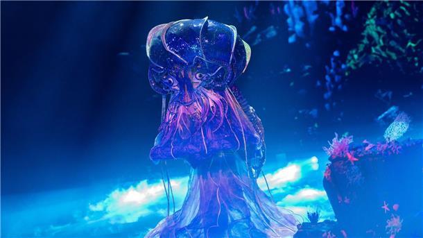 Die Qualle steht im Finale von „The Masked Singer“. (Archivfoto)