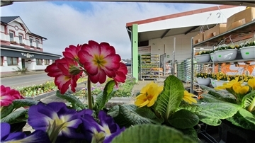 Die Raiffeisengenossenschaft Weser-Elbe hat Interesse, den Mini-Supermarkt „Tante Enso“ in ihren Raiffeisenmarkt in Spieka zu integrieren.