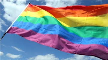 Die Regenbogenfahne steht für Weltoffenheit, Toleranz, Frieden und sexuelle Selbstbestimmung. Ratsherr Hans Hortig will sie dennoch nicht vor einer Kirche hängen sehen.