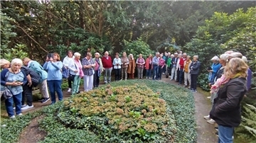 Die Reisegruppe besucht das Grab von Jan Fedder.