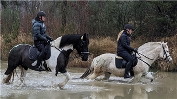 Die Reitsportveranstaltung für Jedermann bot Pferd und Reiter eine breite Palette an Herausforderungen. Höhepunkte waren die Steilhänge und die zahlreichen Wasserflächen, an die sich die Teilnehmer herantrauten.