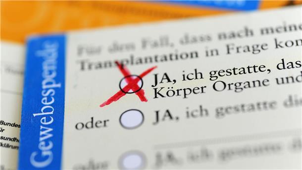 Experte: Immer noch zu wenig potenzielle Organspender Die Rückseite eines ausgefüllten Organspendeausweises. Das Zustimmungsfeld ist angekreuzt.