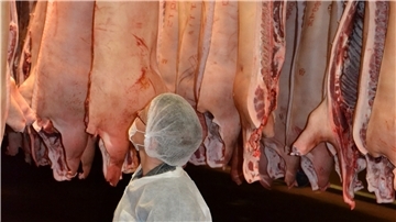 Die Schlachtbetriebe in Bremerhaven und Düring haben ihre Arbeitsschutz- und Hygienevorschriften noch weiter verschärft. (Symbolfoto)