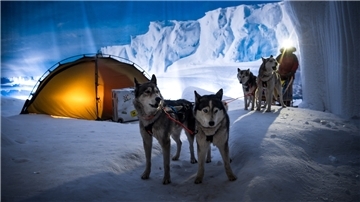 Die Schlittenhunde von Hundeführer Kranz vom Huskyhof Ridderade sind zu Gast im Klimahaus Bremerhaven in den Bereichen Wüstenkulisse des Niger und in der Antarktis (Bild).