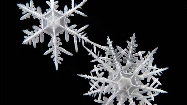 Die Schneeflocken haben sehr unterschiedliche Strukturen.