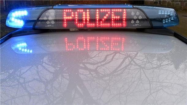 Polizeihund spürt mutmaßlichen Dieb im Gebüsch auf Die Schriftzug „Polizei“ leuchtet auf dem Dach eines Streifenwagens der Polizei.