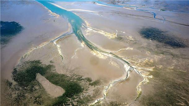 Die Seegrasbestände im niedersächsischen Wattenmeer sind in den vergangenen Jahren stark zurückgegangen. (Symbolbild)