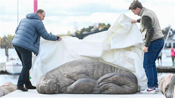 Denkmal für eingeschläfertes Walross Freya in Oslo enthüllt Die Skulptur der Künstlerin Tonoian zum Gedenken an das Walross Freya wird von Walross-Experte Rune Aae (l) und Initiator Erik Holm in der Kongen Marina enthüllt.
