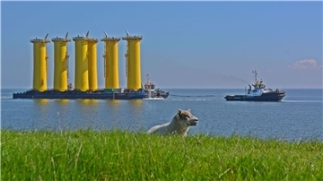 Die sogenannten Transition Pieces für den Offshore-Windpark „He Dreiht“ werden bereits transportiert.