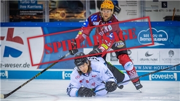 Die Straubing Tigers haben nach Coronafällen im Team um eine Verlegung der Partie bei den Pinguins gebeten.