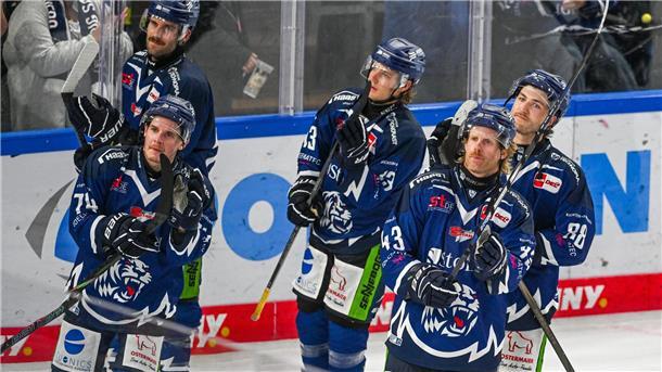 Die Straubing Tigers kassierten zuletzt wiederholt Niederlagen.
