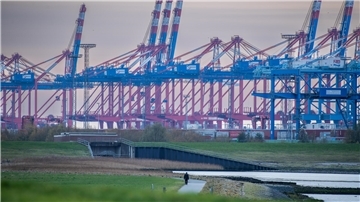 Eine Reihe mit Containerbrücken.