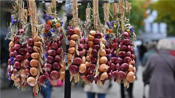 Die traditionellen Zwiebelzöpfe hängen zum Verkauf auf dem Zwiebelmarkt in Weimar.