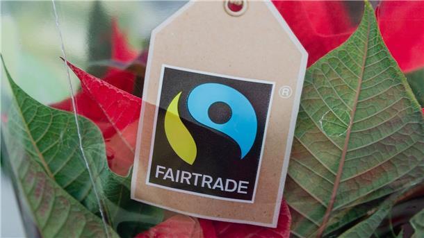 Kunden bleiben Fair-Trade-Produkten treu Die Umsätze im Handel mit fair gehandelten Produkten sind im vergangenen Jahr weiter gestiegen.