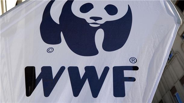 Die Umweltschutzorganisation WWF alarmiert wegen illegaler Fischerei.