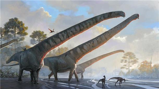 Die undatierte Illustration des Natural History Museums zeigt „Mamenchisaurus sinocanadorums“.