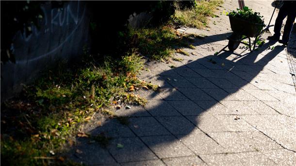 Die Verkehrssicherungspflicht gebietet, dass der Anlieger den Gehweg vor seinem Grundstück von Bewuchs freihält. 