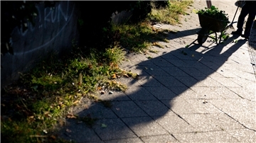 Die Verkehrssicherungspflicht gebietet, dass der Anlieger den Gehweg vor seinem Grundstück von Bewuchs freihält. 