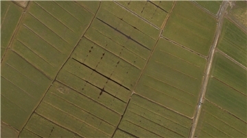 Die Waddenser Wisch aus der Vogelperspektive. Im Zuge des Flurbereinigungsverfahrens findet hier jetzt die Wertermittlung statt.