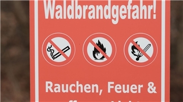 Osterfeuer wegen Waldbrandgefahr umstritten Die Waldböden in vielen Gebieten Niedersachsens sind zu trocken. (Archivfoto)