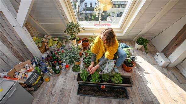 Die Wohnküche des Studentenhauses ist ungewöhnlich grün für eine WG. Vanessa pflanzt hier Gemüse, Obst und Kräuter. Durch das Fenster hinter ihr klettern die Bewohner manchmal aufs Dach.