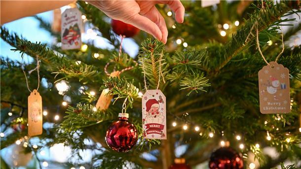 Ein wenig Freude schenken: Wunschbaum-Aktion für Bremerhavener Kinder startet Die Wunschbaumaktion der NORDSEE-ZEITUNG startet wieder. Zu Weihnachten werden Kinderwünsche wahr - wenn Sie mithelfen. Nehmen Sie sich ab sofort im NZ-Kundencentereines der 100 Kärtchen vom Baum.