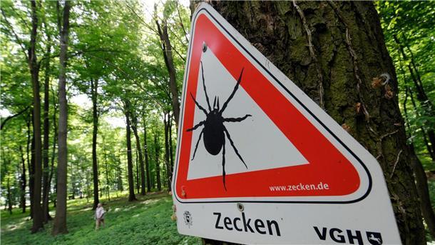 Mehr Impfungen gegen Zecken-Virus FSME in Niedersachsen Die Zecken-Saison beginnt bald wieder. (Archivbild)