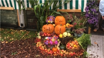 Ein Garten ist mit verschiedenen Kürbissen dekoriert.