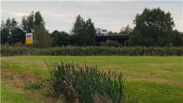 Im Vordergrund ist eine Weidefläche zu sehen, im Hintergrund sieht man ein Verkehrsschild und eine Brücke mit Lkw.