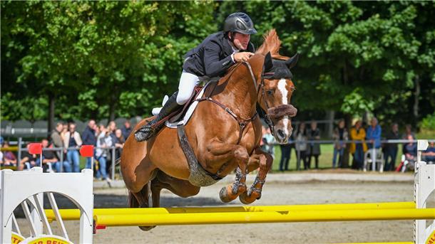 Die Zuschauer dürfen sich wieder auf hochklassigen Sport bei den Elmloher Reitertagen freuen.