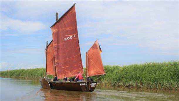 Exkursion zur Strohauser Plate Dielenschiff „Hanni“