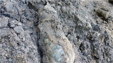 Dienstagvormittag ist bei Baggerarbeiten auf dem Gelände des „Bewegungsparks am Speicher“ zwischen Großer Straße und Aalter Allee eine britische Mörsergranate aus dem Zweiten Weltkrieg gefunden worden.