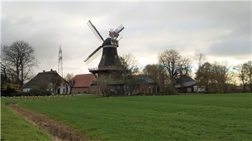 Museum Moorseer Mühle mit einer Weide im Vordergrund