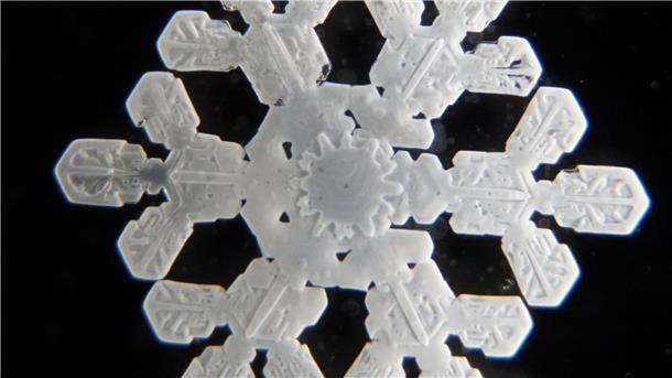 Diese Schneeflocke hat Thomas Hoffmann auf der „Polarstern“ kurz vor der Ankunft in der Antarktis in der Atka-Bucht im Januar 2021 in der Antarktis aus der Luft gefischt. Sie sieht wunderschön aus, fast wie geprägt.