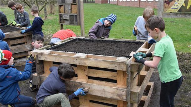 Diesen Jungs gefällt das Gärtnern in der Schule, die gemeinsam ein Hochbeet bauen und engagiert bei der Sache sind.