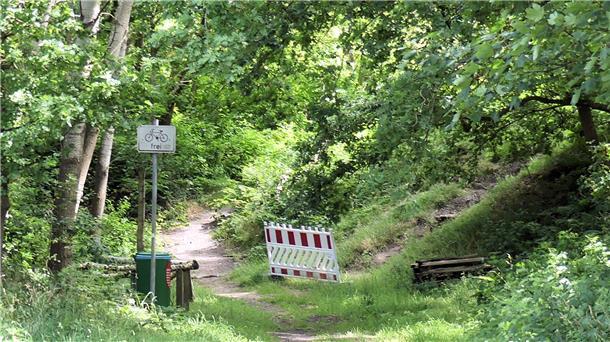 Treppenaufgang im Waldgebiet, abgesperrt mit einer rot-weißen Warnbake. Die Holztreppe ist von nassem Laub bedeckt, ein Geländer liegt beschädigt am Hang.