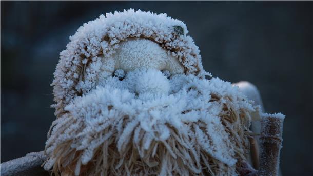 Dieser verschneite Strohweihnachtsmann hat es sich auf einer Gartenbank bequem gemacht.