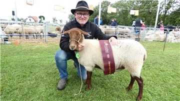 Dieses Coburger Fuchsschaf ist Stollhamms Topmodel. Der Züchter ist Gerfried de Lange aus Isterberg.